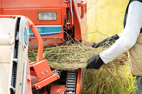 農業でケガをしたら労災は使える？ 補償内容や特別加入について解説